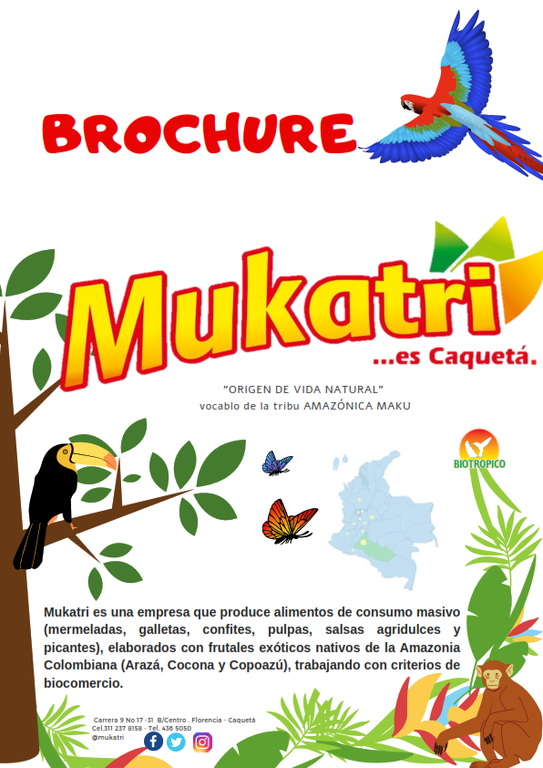 Brochure