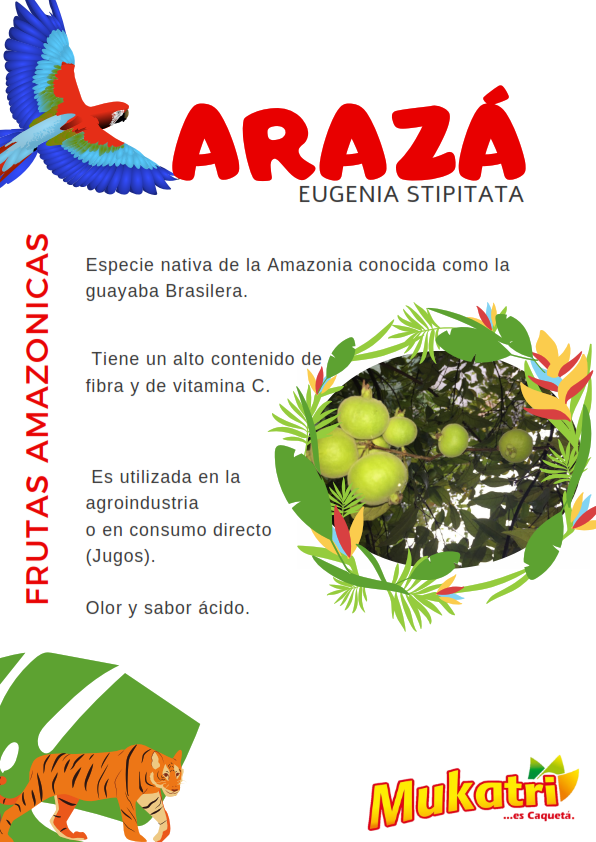 BROCHURE MUKATRI