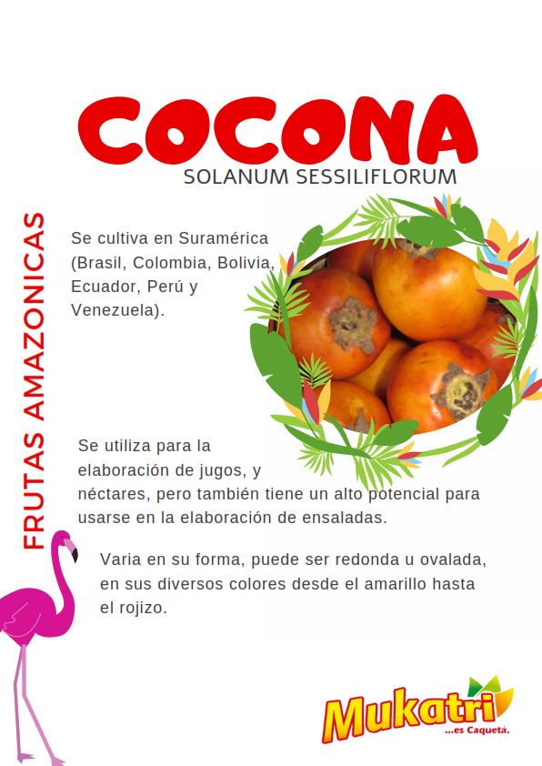 BROCHURE MUKATRI