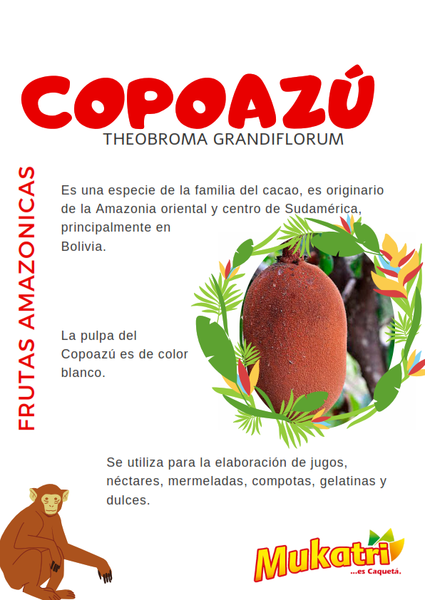 BROCHURE MUKATRI